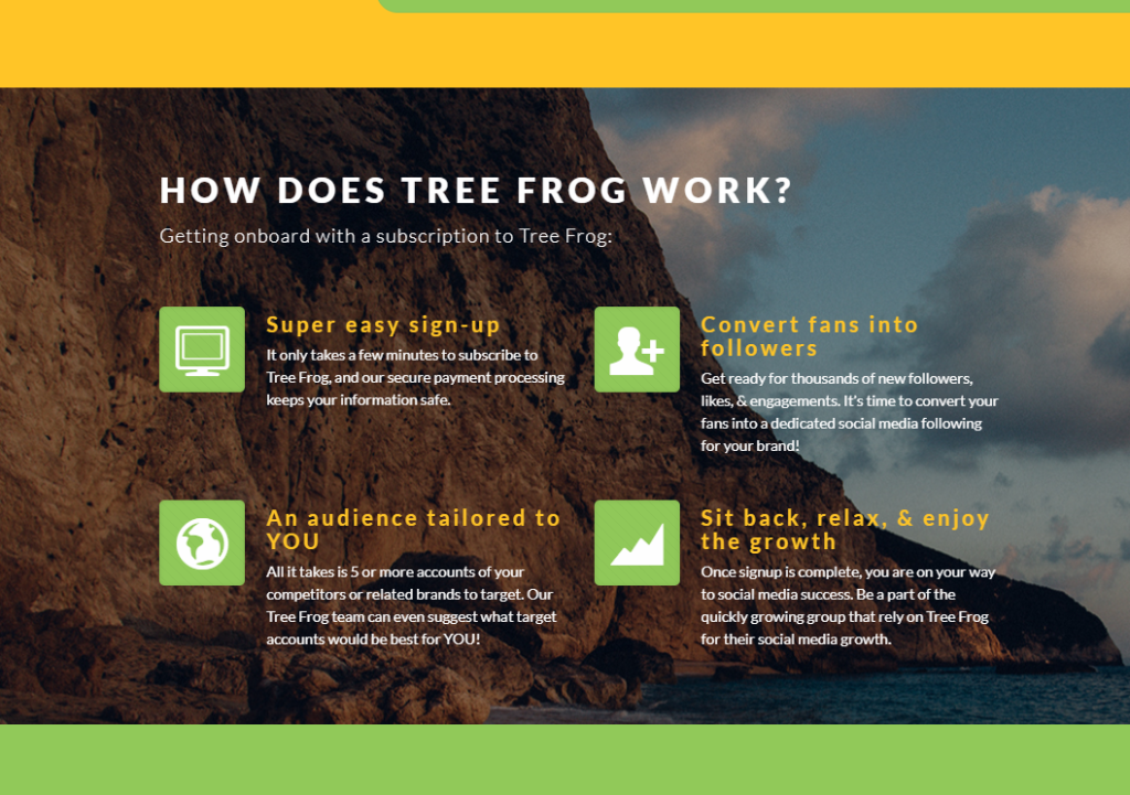 Tree Frog Social Work