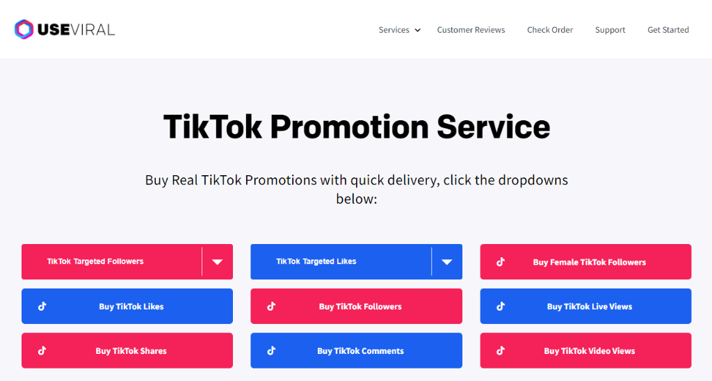 TikTok Promotion Service
