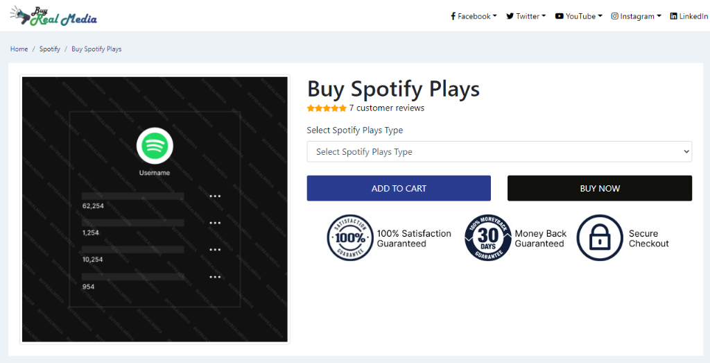 Buy Real Media Spotify Plays