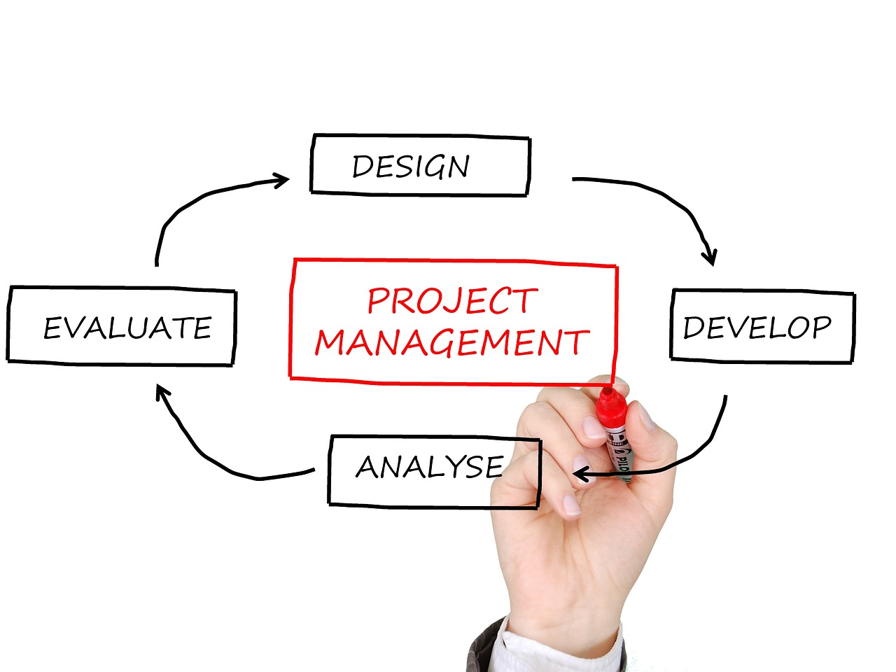 project-management-ged497baea_1280